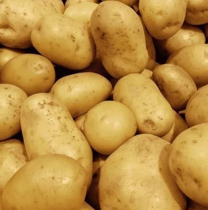 Garden of Elevden Baking Potatoes, Class 1, 5kg, 2 Bags