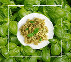 Banetti Burgu Fusilli 500g Pasta Made with 100% Durum Wheat Semolina 5 Pack