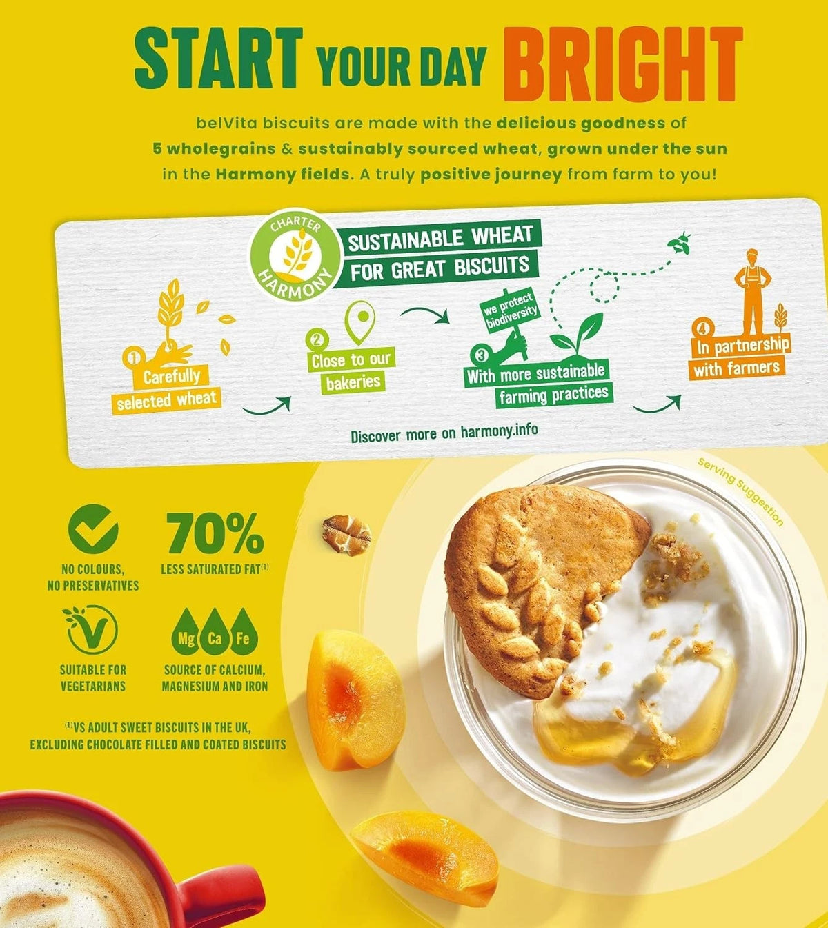 Belvita Breakfast Biscuits Milk & Cereals, 12 x 45 g (Pack of 2)