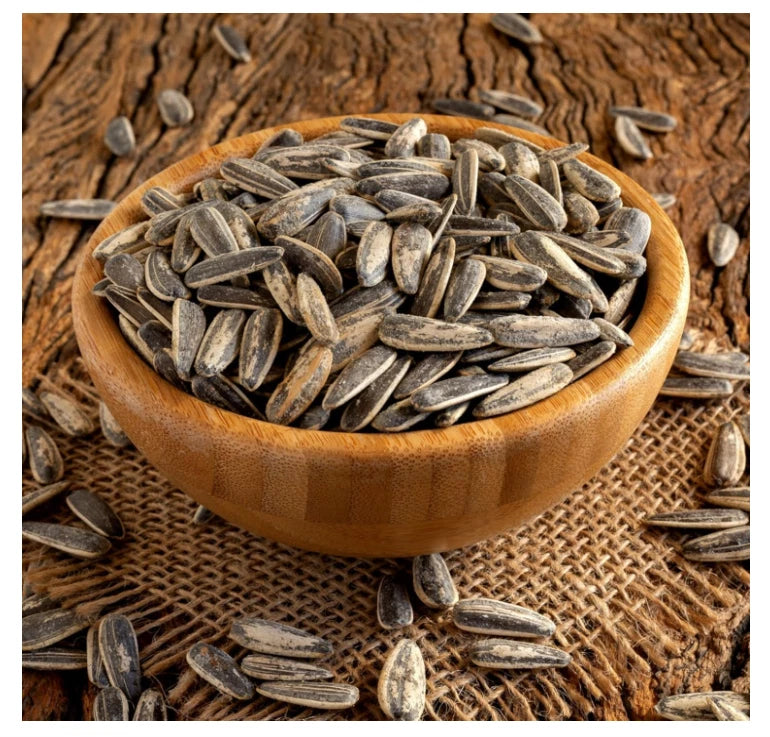 Bodrum Dakota Roasted Unsalted (No Salt) Sunflower Seeds, No Salt 300g Pack of 6