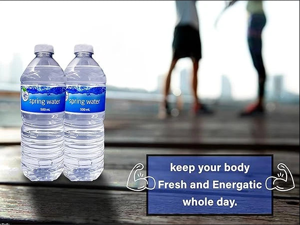 Kirkland Signature Still Spring Water 500ml Pack of 20