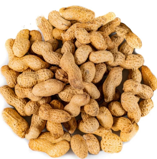 Forest Feast Oven Roasted Monkey Peanuts in Shell, 2 kg