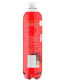 Rubicon Spring Strawberry Kiwi Sparkling Water Bottle 500ml x 12