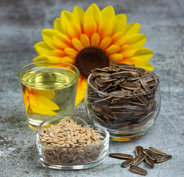 Bodrum Dakota Roasted and Salted Sunflower Seeds, 300g Pack of 3