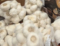 Fresh White Garlic Large Bulbs 1kg Natural Spice for Cooking, Soups, Marinades