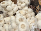Fresh White Garlic Large Bulbs 1kg Natural Spice for Cooking, Soups, Marinades