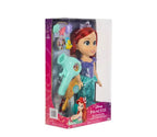 Disney Princess Large Doll and Hair Play Set Elsa Ariel Rapunzel Belle Moana