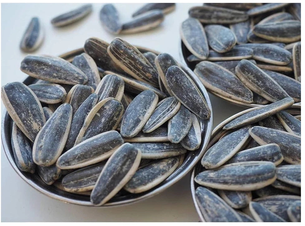 Bodrum Dakota Roasted and Salted Sunflower Seeds, 300g Pack of 1