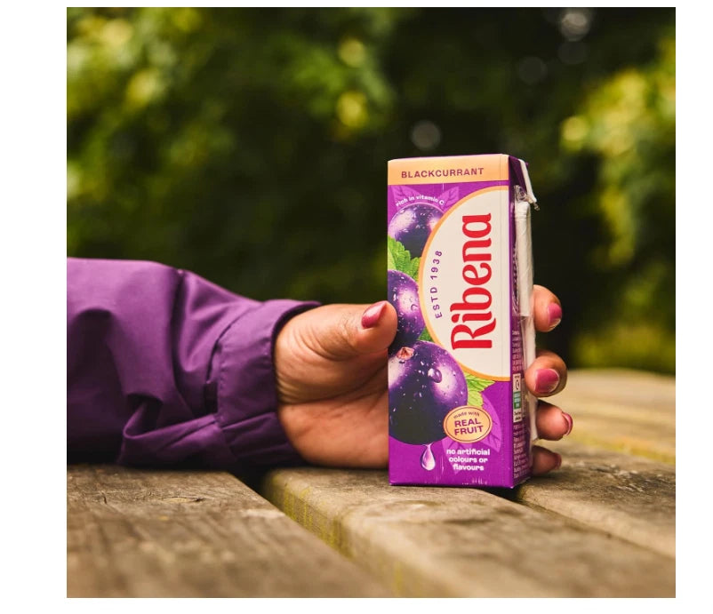 Ribena Blackcurrant Juice Drink Cartons - 24 x 250ml Real Fruit Juice No Artifi
