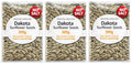 Bodrum Dakota Roasted Unsalted (No Salt) Sunflower Seeds, No Salt 300g Pack of 3