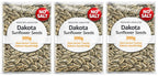 Bodrum Dakota Roasted Unsalted (No Salt) Sunflower Seeds, No Salt 300g Pack of 3