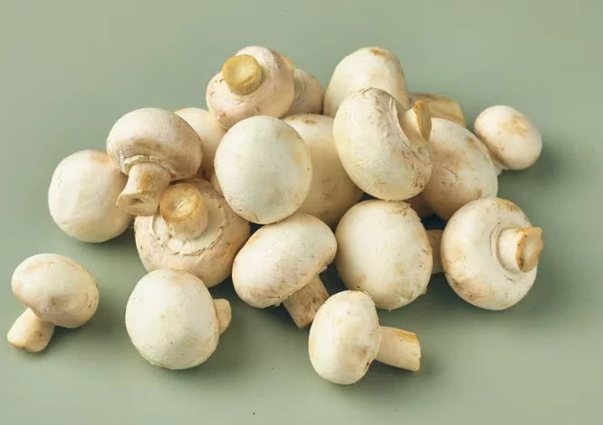 Bestin Whole Button Mushrooms in Salted Water, 290g, Pack of 6