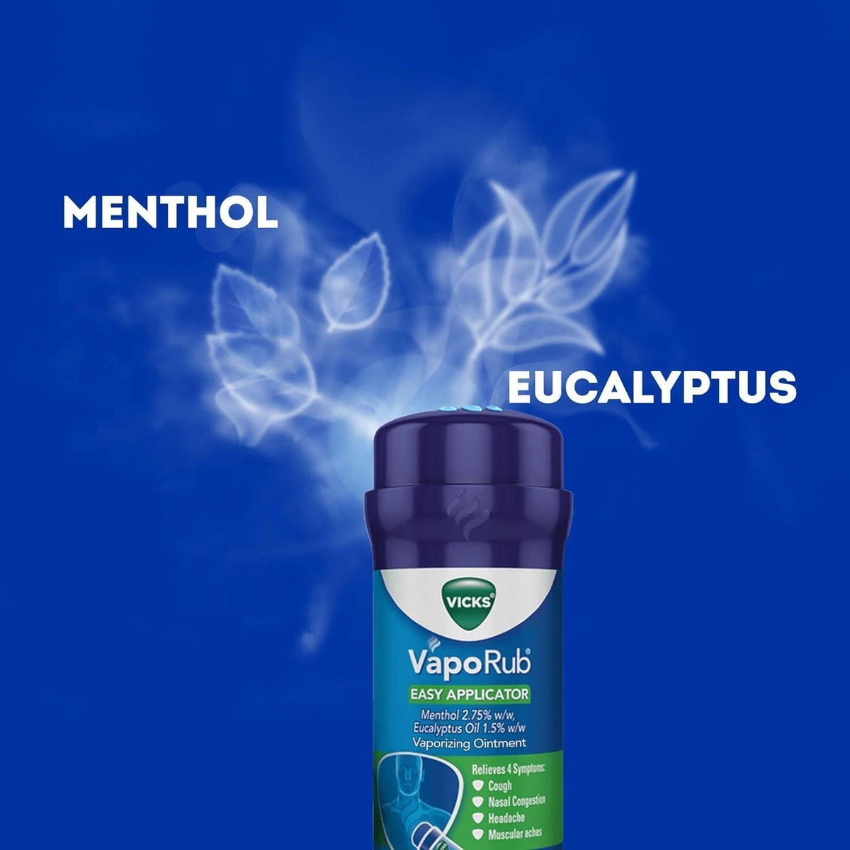 Vicks VapoRub Easy Application Twist and Apply On Chest for Cold Relief 2 pack