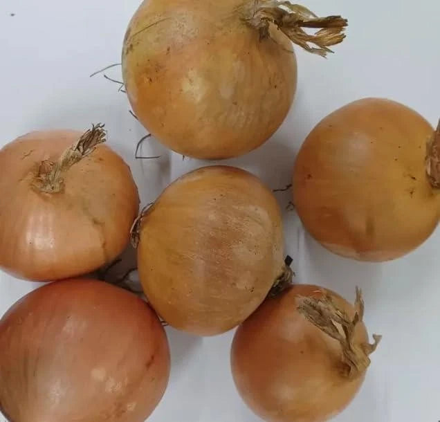 White Potatoes 7.5kg and Cooking Onions 5kg Ideal for Home and Catering