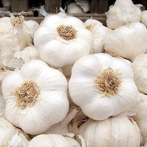 1kg Fresh White Garlic Bulb & 1kg Fresh Ginger Root Ideal for Home and Catering