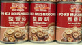 Po Ku Mushroom Shiitake in Water, 284g, Vegan, Canned, Ready-to-Use, Pack of 3