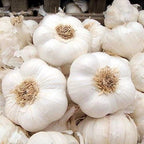 Fresh White Garlic Large Bulbs 1kg Natural Spice for Cooking, Soups, Marinades