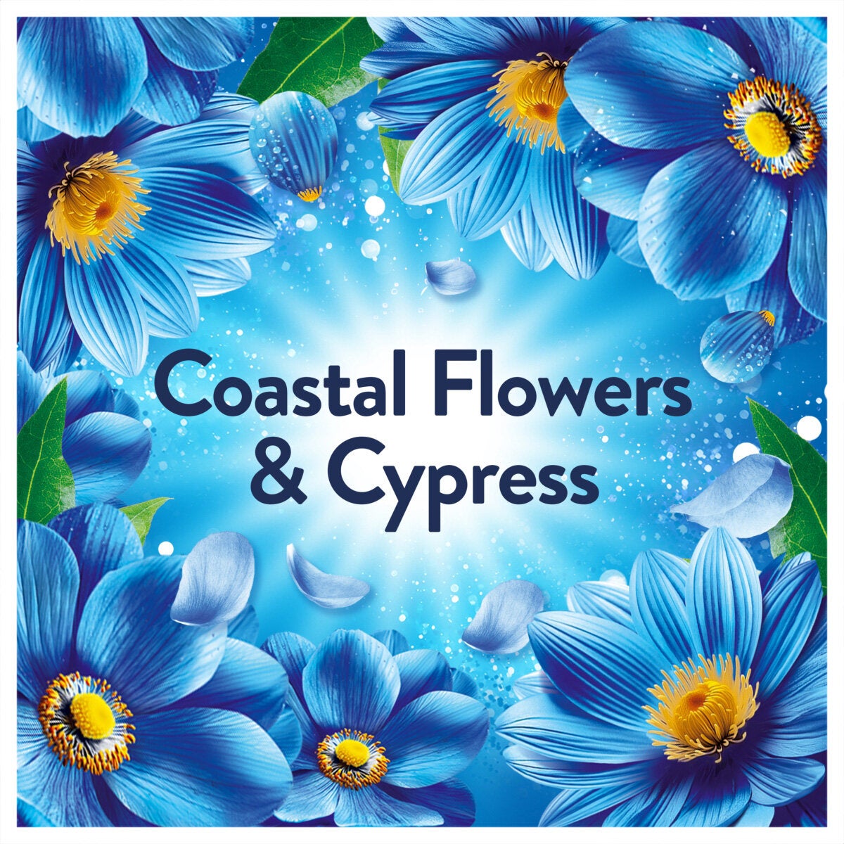 Lenor Coastal Flowers & Cypress Fabric Conditioner 4L 200 Washes