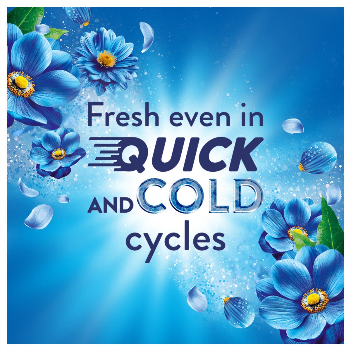 Lenor Coastal Flowers & Cypress Fabric Conditioner 4L 200 Washes